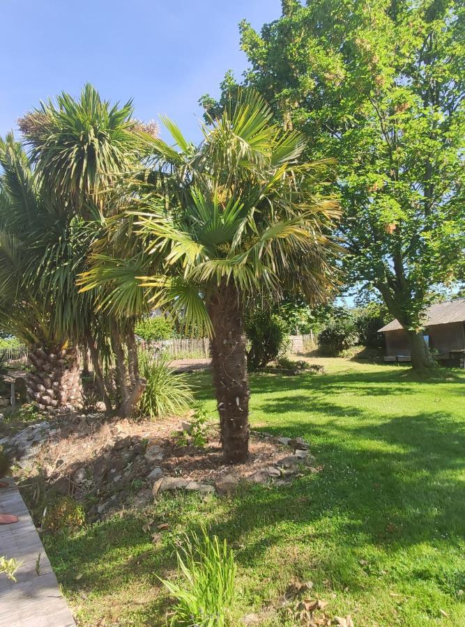 La Petite Hautiere Maison 2 Personnes Plouer Sur Rance Avec Piscine Apartment Exterior photo