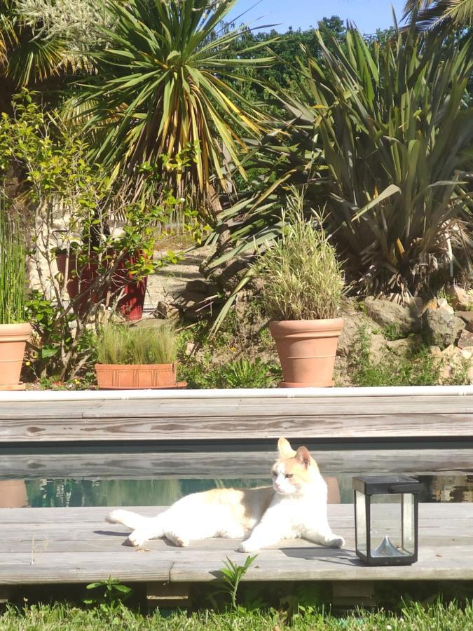 La Petite Hautiere Maison 2 Personnes Plouer Sur Rance Avec Piscine Apartment Exterior photo